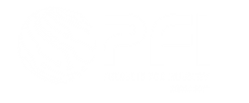 PFI Inc. 