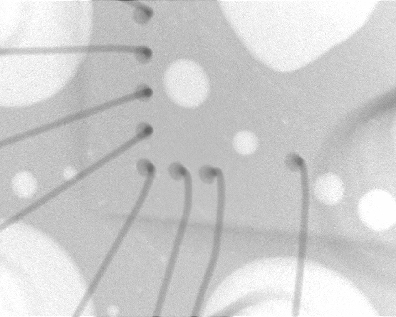 Nordson Dage Ruby with X-Plane, XD7600NT